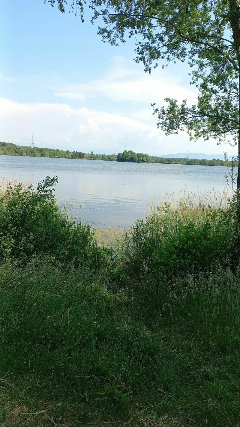 Gex et le Lac de Divonne, par Grilly à vélo - Gex
