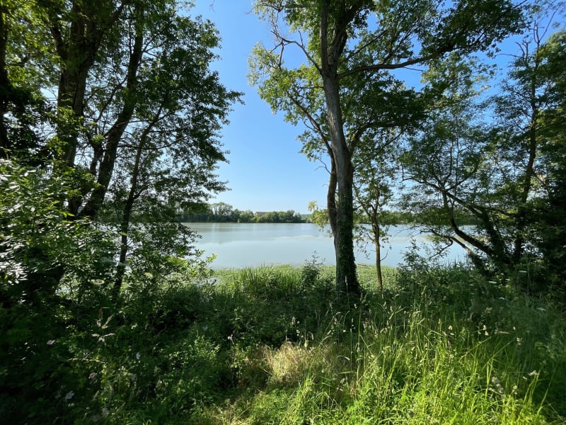 Balade au bord de l'Authion - Les Ponts-de-Cé