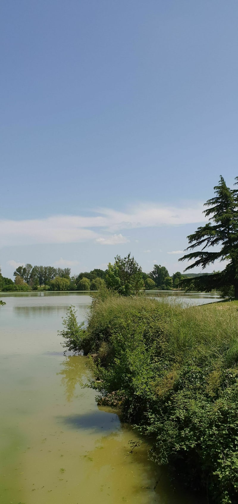 Lac de Sainte-Foy-d'Aigrefeuille - Saint-Orens-de-Gameville