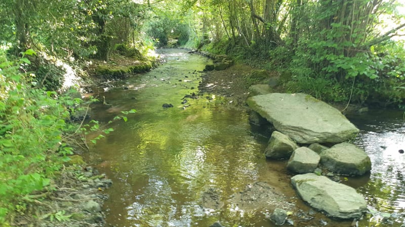 De vallon en vallée dans le Bocage - Cherbourg-en-Cotentin