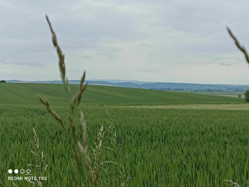 Balade autour de Biozat par Espinasse-Vozelle - Biozat
