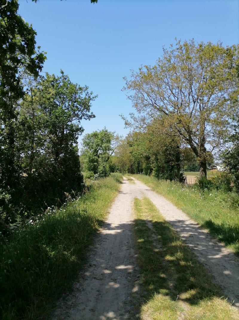 Entre terre et rivières à Carquefou - Carquefou