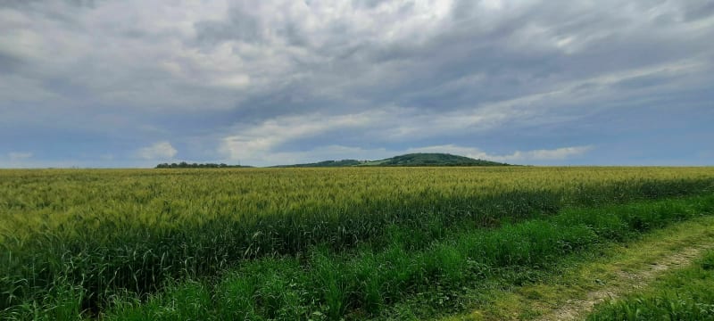 Promenade champêtre entre Lagardelle et Beaumont-sur-Lèze - Lagardelle-sur-Lèze
