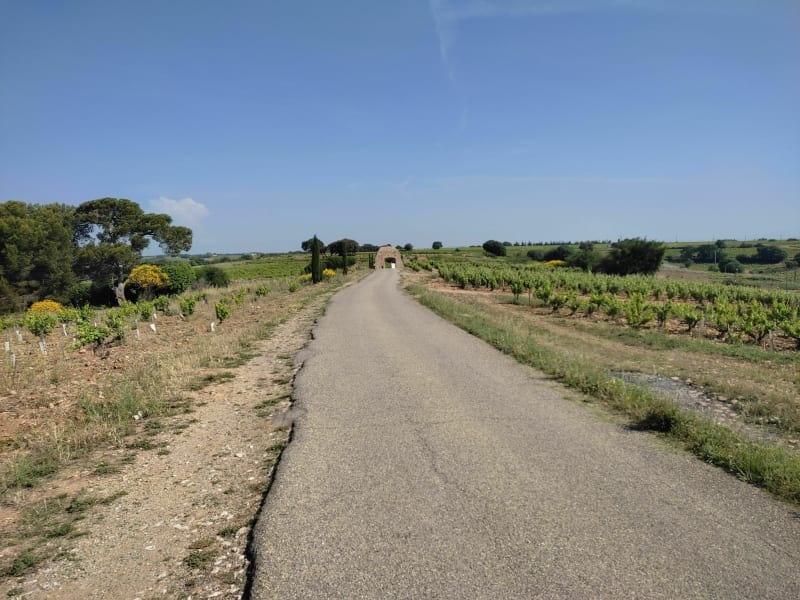 Châteauneuf-du-Pape par la Via Rhôna par le Plan d'eau de la Lionne à vélo - Châteauneuf-du-Pape