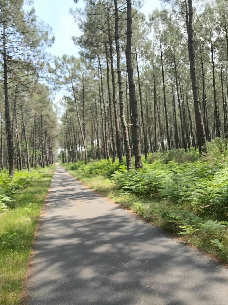 Le Tour du lac de Soustons depuis Azur par Vieux-Boucau à vélo - Azur