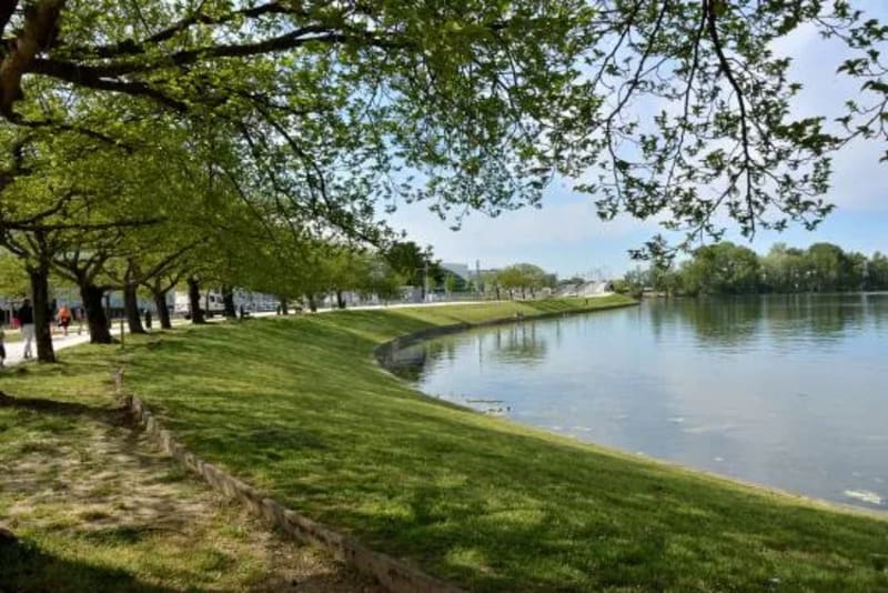 De Parempuyre, Balade le long des Marais de Florimond - Parempuyre
