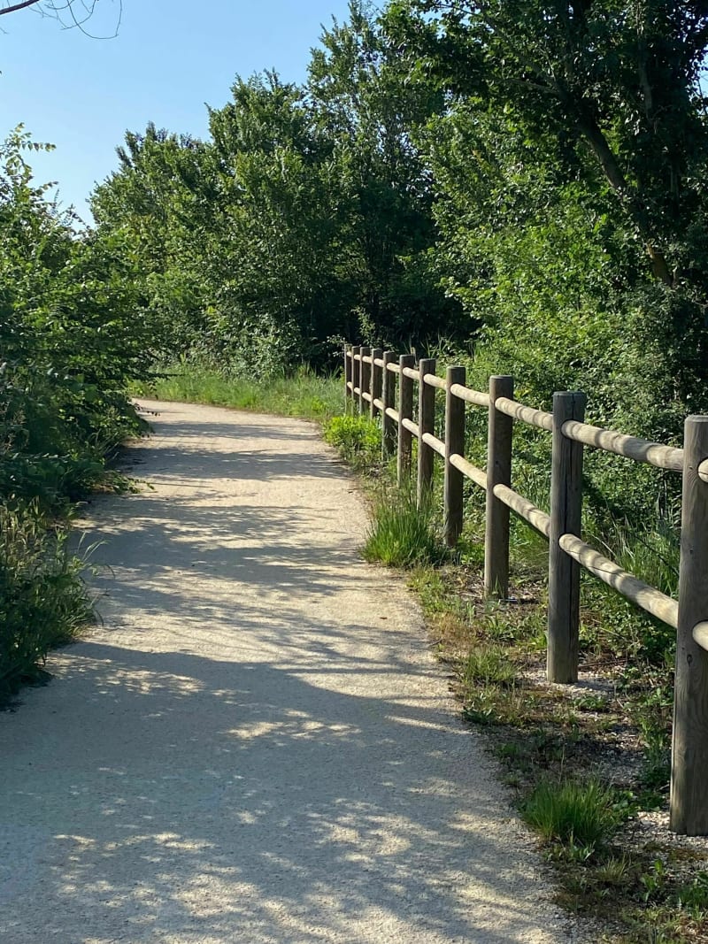 Voie verte marais du Vigueirat Mas Thibert - Arles