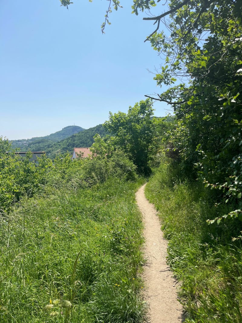 Paradis clermontois - Royat