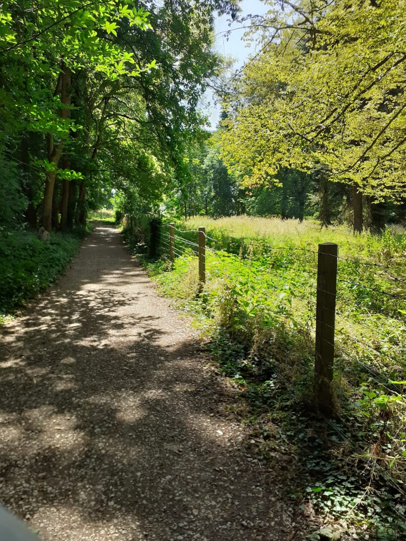 Sentier du parc de Gourdez et bois de Morancez - Morancez