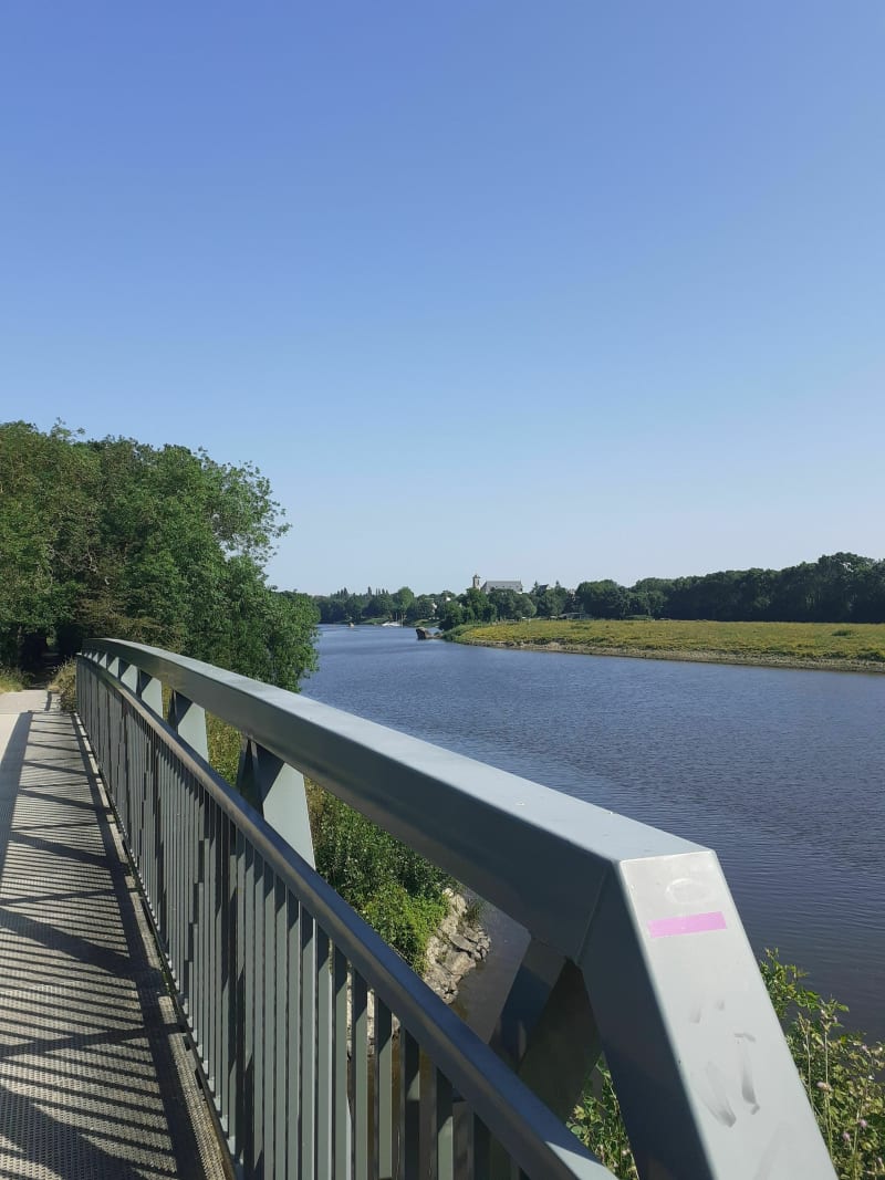 Boucle (bucolique) de la Mayenne - Avrillé