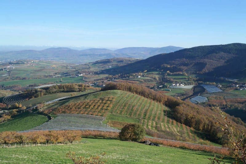 Le tour de la Gachet - Sorbiers