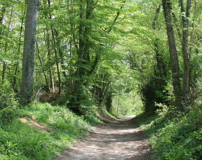 Autour de Bleury - Auneau-Bleury-Saint-Symphorien