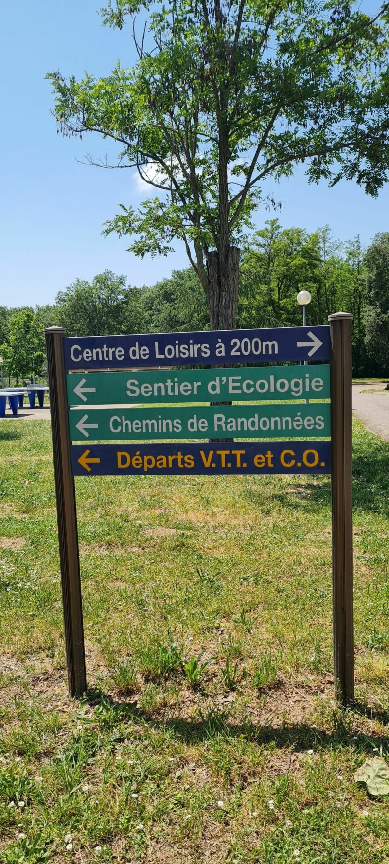 Sentier écolo à Bouconne - Montaigut-sur-Save