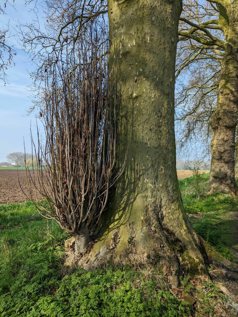 Balade sympa au bord de la Deûle depuis Seclin - Seclin