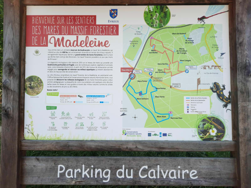 Sentier de la petite nymphe dans la forêt d'Évreux - Arnières-sur-Iton