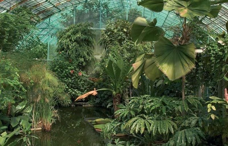 Tour du bois de Boulogne au départ des Serres d’Auteuil - Paris