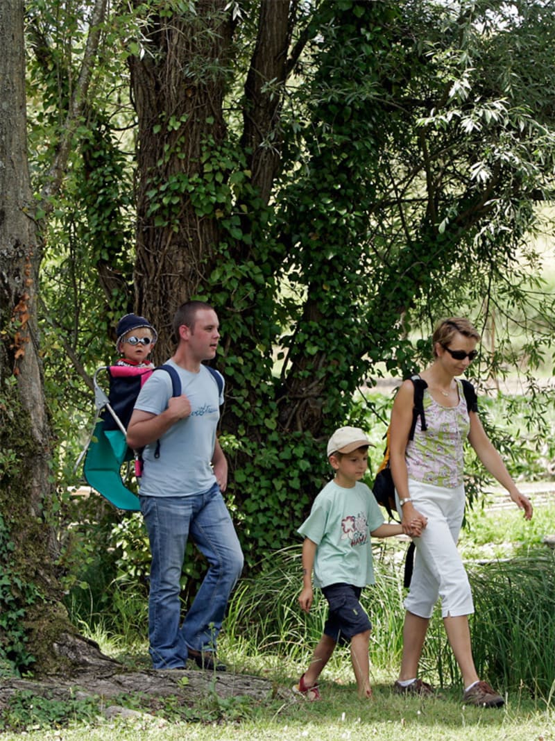 Promenade le long de l'Yerre - La Bazoche-Gouet