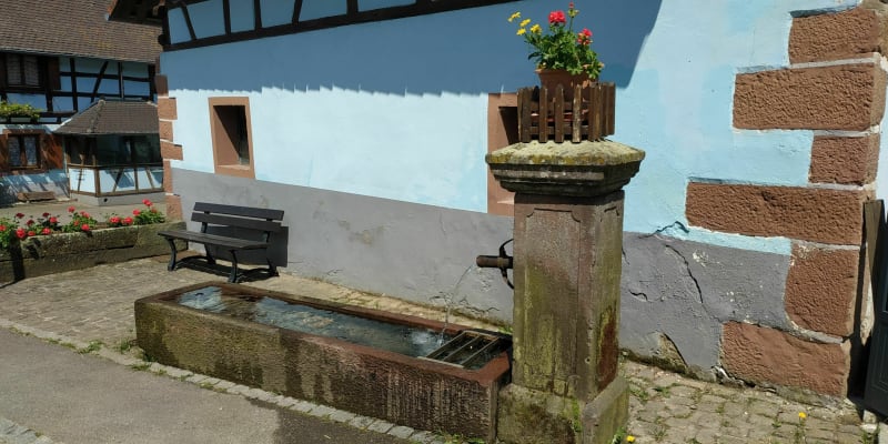 Entre Lembach et Pfaffenbronn - Lembach