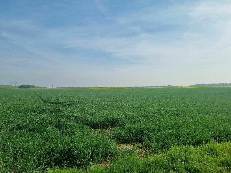 Boucle du Breuil via golf Marivaux Bruyere le Chatel - Épinay-sur-Orge