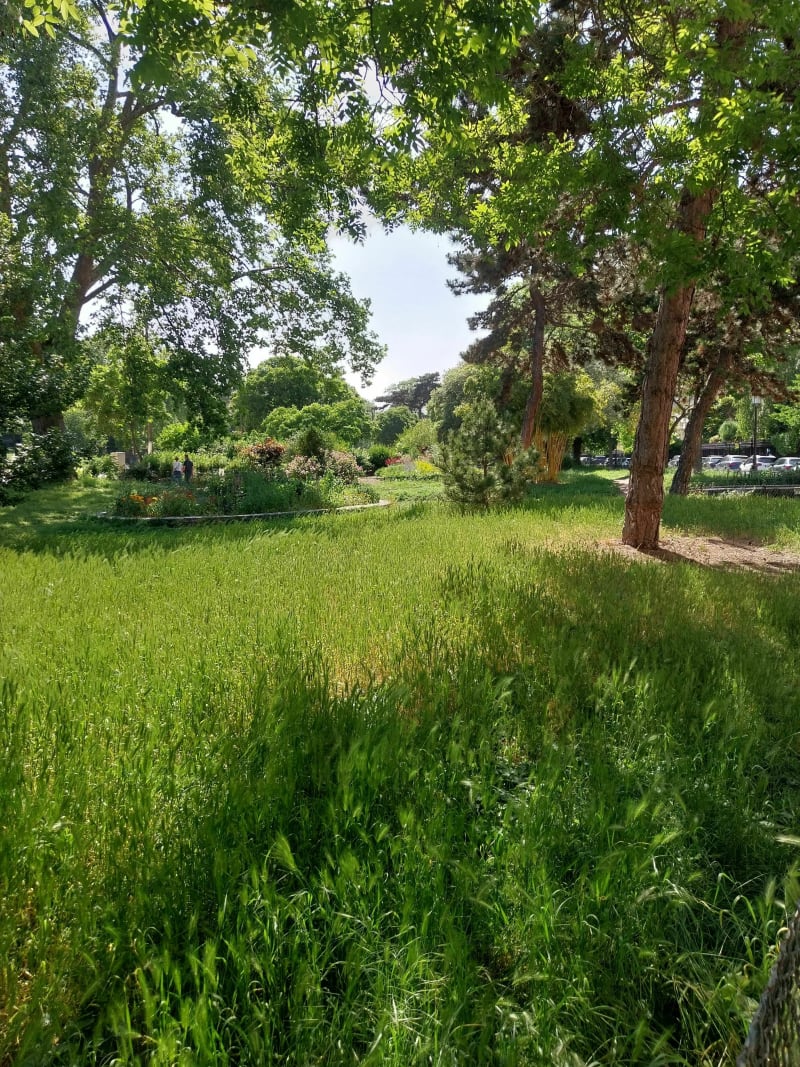 Bois de Boulogne par avenue Foch - Paris