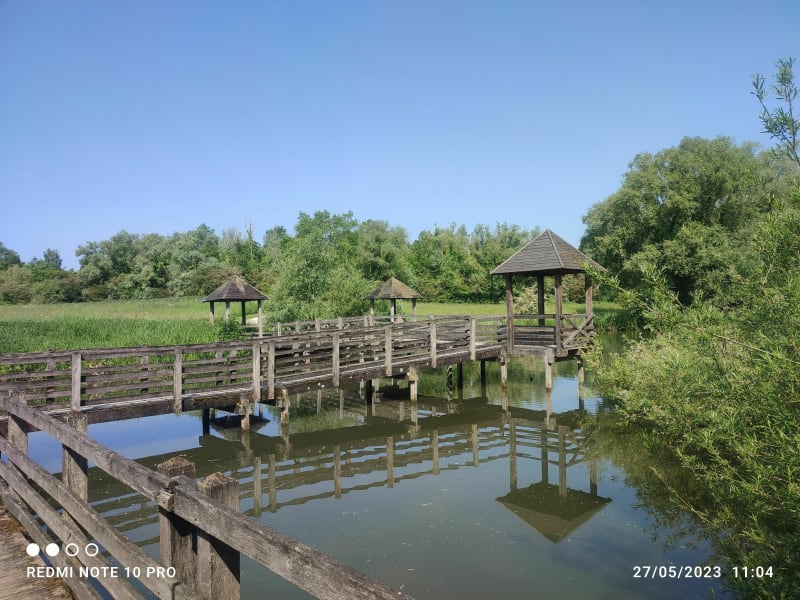 Découverte du parc des Anseureuilles, Wavrin - Wavrin