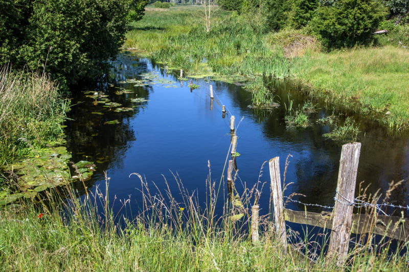 Sentier nature de Douy - Cloyes-les-Trois-Rivières