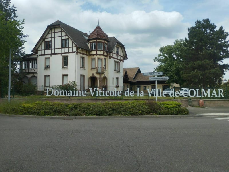Circuit dans les vignes au nord de Colmar - Colmar