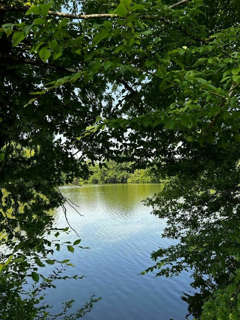 Voie Bressane depuis Chaumergy - Chaumergy