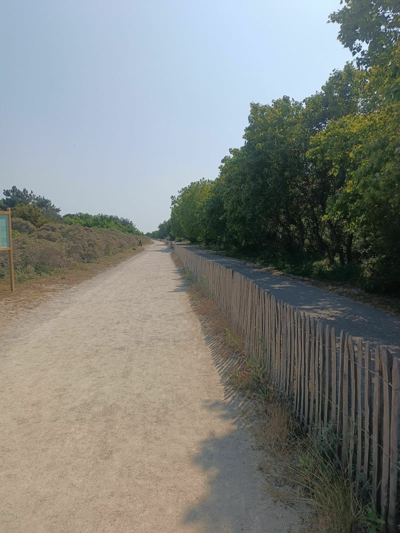 Entre la dune, la forêt et la plage au Touquet - Le Touquet-Paris-Plage