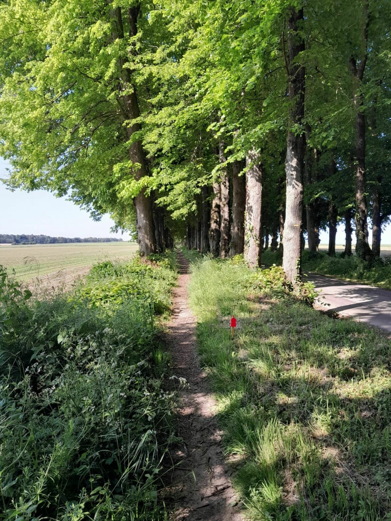 Rando VTT autour de Penin par le Bois de Faye - Penin