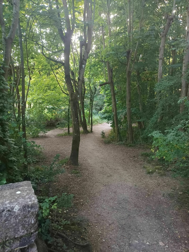 Entre calme et volupté le long du cours d'eau L'Yerres - Brunoy