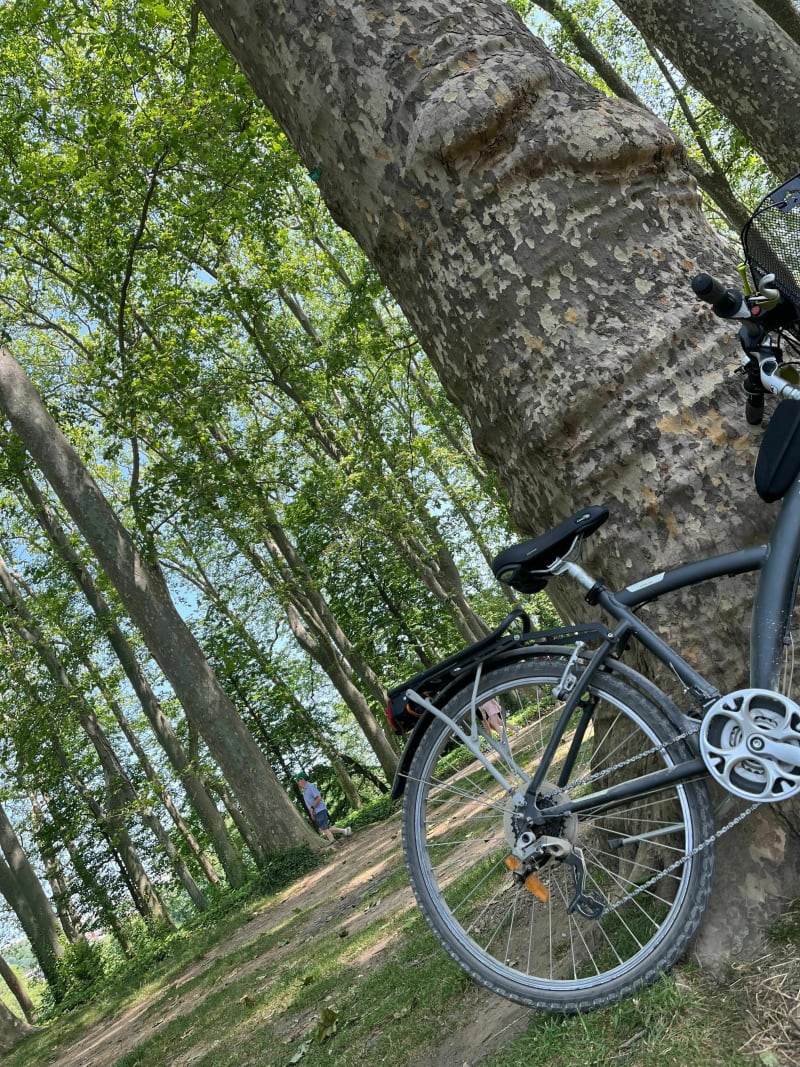 De la Soie au Parc de la Tête d’or - Vaulx-en-Velin