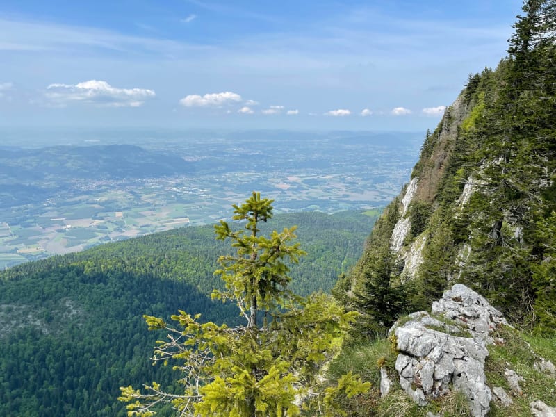De Nave au Bec de l’Orient - Autrans-Méaudre-en-Vercors