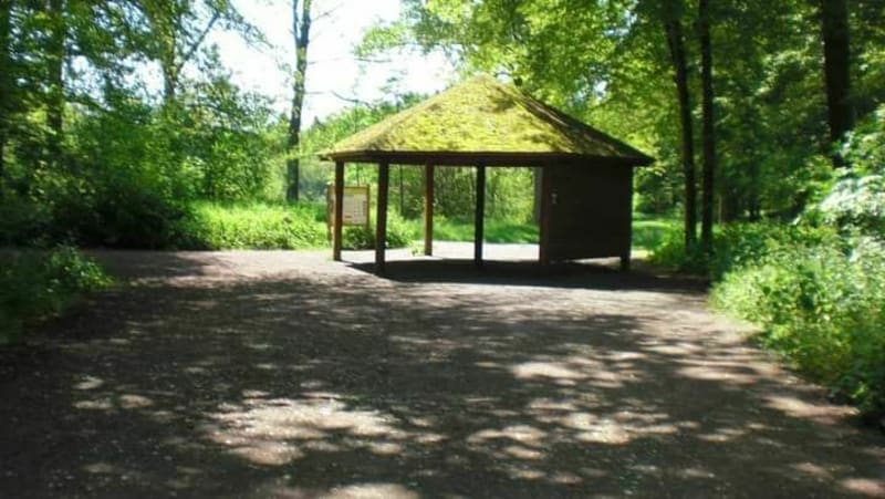 Balade en forêt de Phalempin - Phalempin