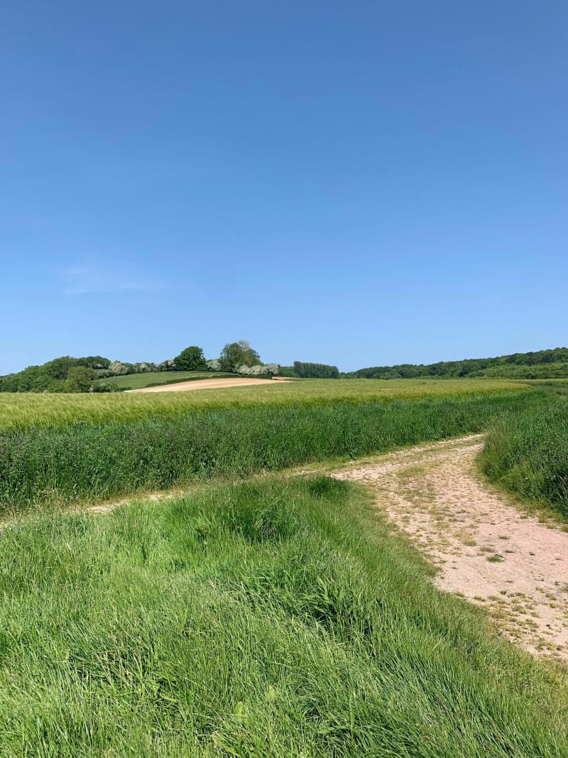 Balade à VTT vers le bois de Pernes - Pernes