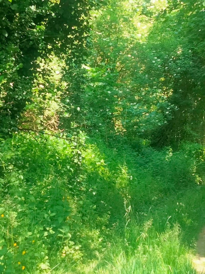 Trail entre route et chemins à Romainvilliers - Bailly-Romainvilliers