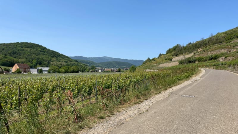 Entre vallons et vallées depuis le Florival - Lautenbach