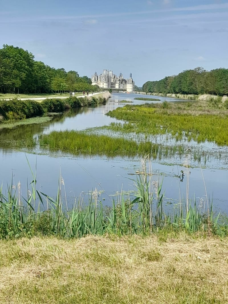 Randonnée à Chambord - Huisseau-sur-Cosson