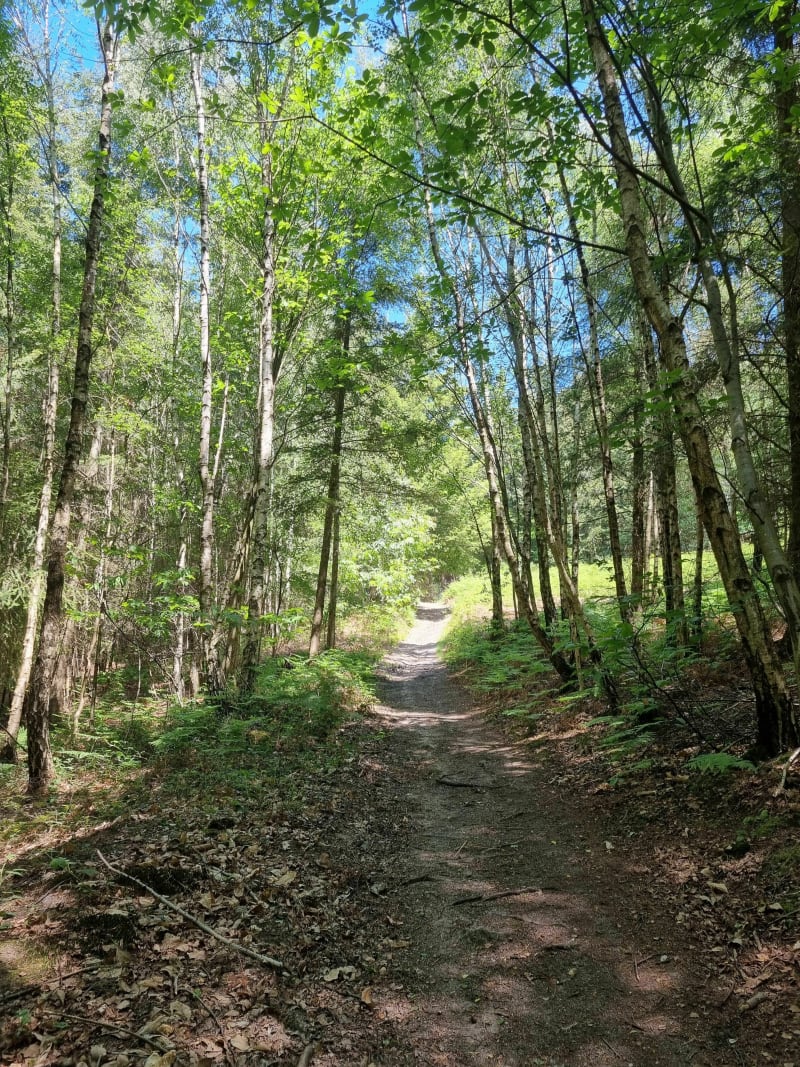 Forêt de Frémainville, Jambville et détour par Avernes - Frémainville