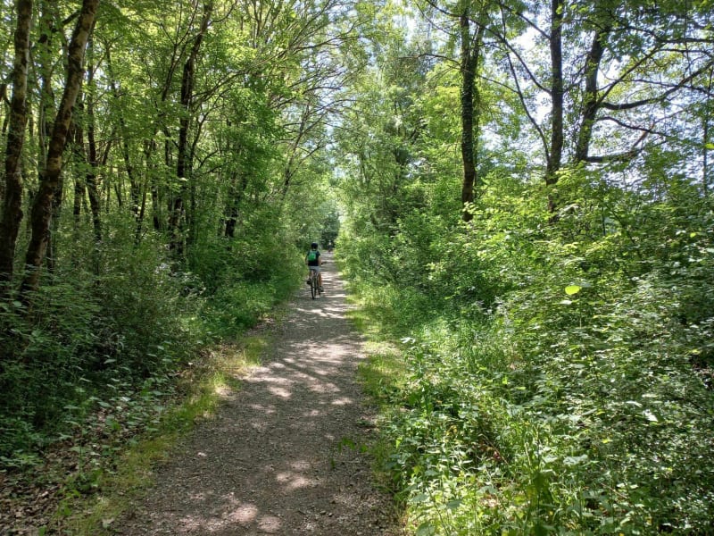 Boucle à vélo de Pibrac par les Bourdettes et l'Aussonnelle - Pibrac