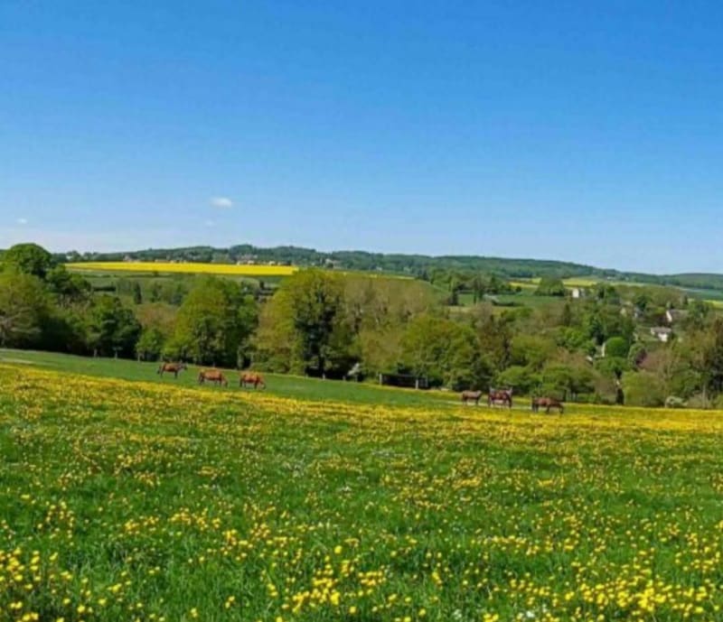 De Seraincourt à Vigny - Seraincourt