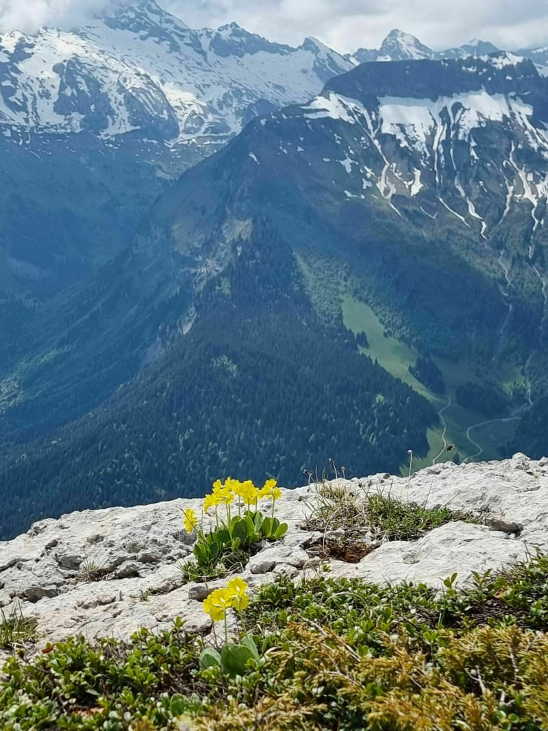Le Petit Bargy via la Tête des Bécus - Le Reposoir