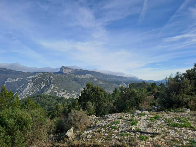Balade autour du Mont Cruvelier - Gémenos
