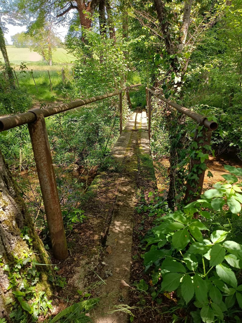 Promenade en forêt à Rignac - Rignac