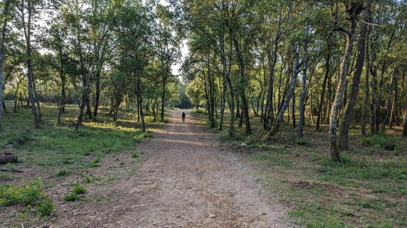 Routes et chemins entre Roquefort, Valbonne et Le Rouret - Roquefort-les-Pins