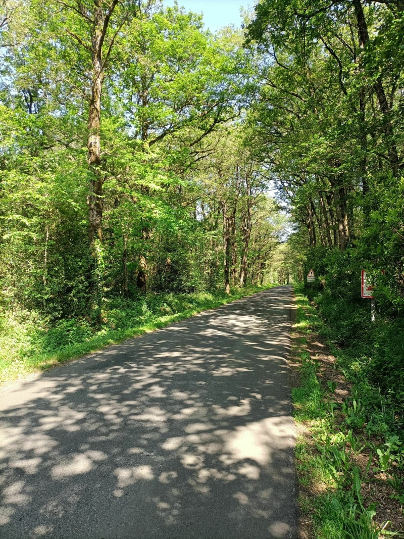 Entre campagne et Ville à Cholet ! - Cholet