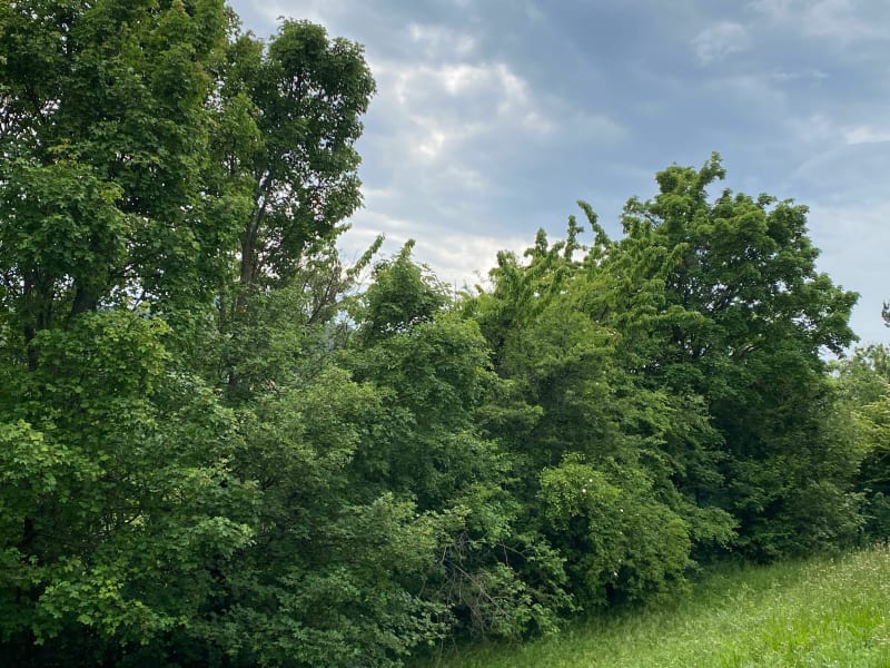 Le Tour par Mongardin et La Bâtie-Neuve - La Bâtie-Neuve