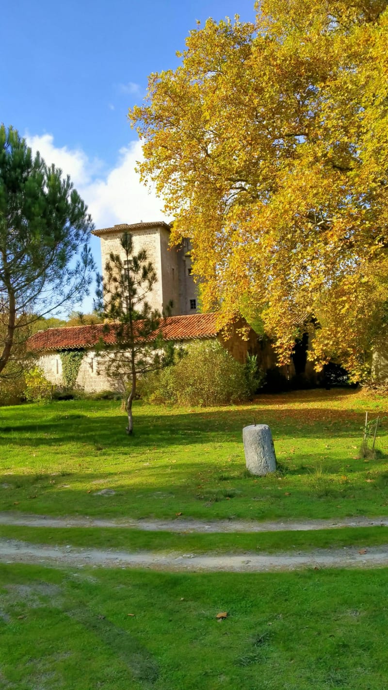 Boucle dans la Forêt de Campet - Villefranche-du-Queyran