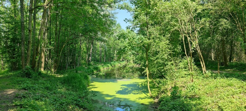 Balade dans l'Essonne au départ de Mennecy - Mennecy