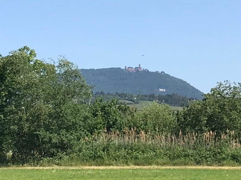 Boucle de Turckheim vers le château du Haut Koenigsburg à vélo - Ingersheim